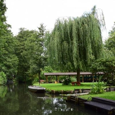 大发彩票官方官方平台app