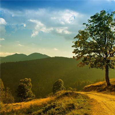 风云体育官方APP网址